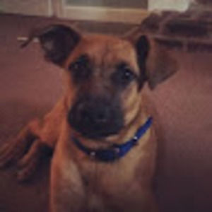 Meet your Posher, Willow